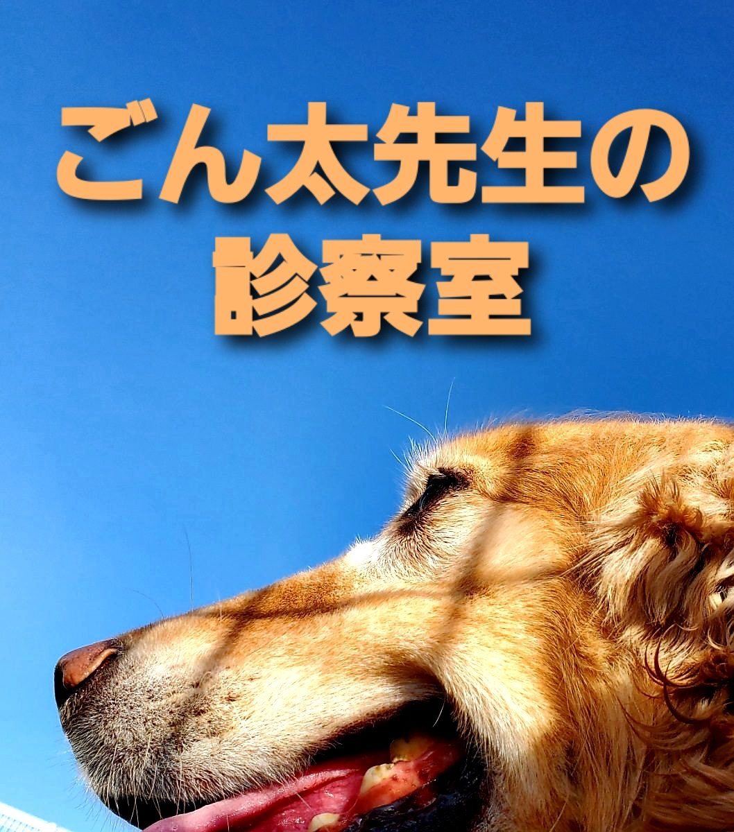 胃腸薬 犬猫の消化器症状によく使う薬 種類 効果 飲ませ方 副作用 ごん太先生の診察室