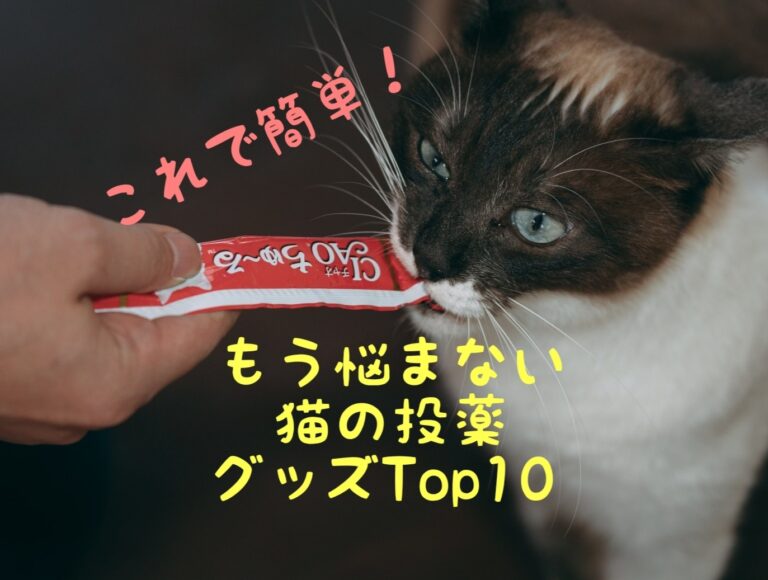 獣医師厳選㊙】猫の投薬グッズランキング～薬の飲ませ方～│ごんた先生