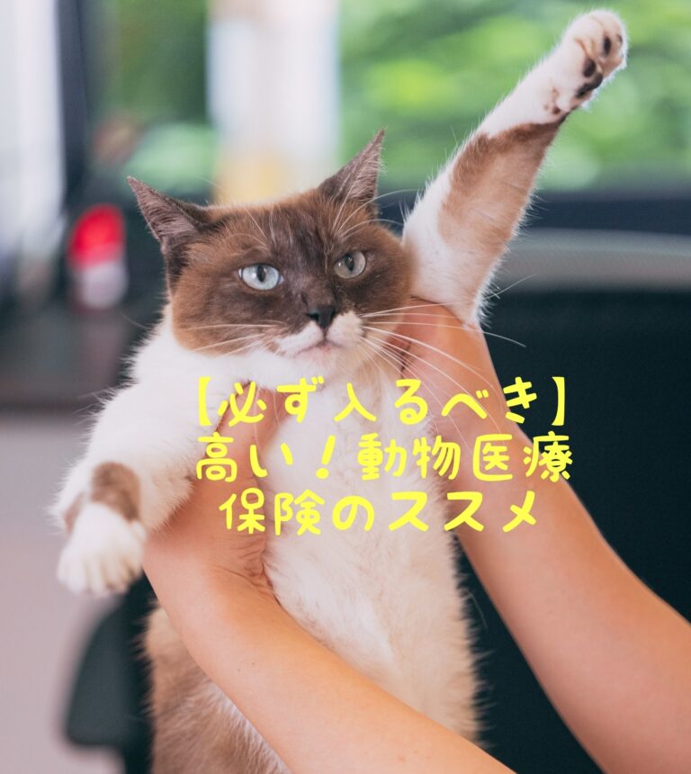 ペットベスト