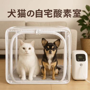 【獣医師監修】犬猫の呼吸が苦しいときの自宅酸素室｜レンタルと購入どっち？