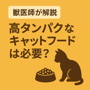【獣医師が解説】高タンパクなキャットフードは必要？猫の栄養とジャガーキャットフードの考え方