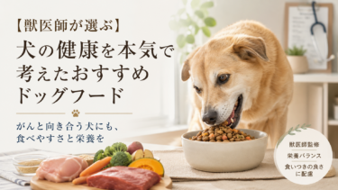 【獣医師が選ぶ】犬の健康を本気で考えたおすすめドッグフード｜目的別に解説