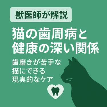 【獣医師が解説】猫の歯周病と健康の深い関係｜歯磨きが苦手な猫にできる現実的なケア