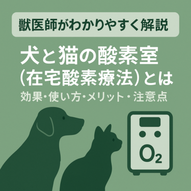 犬と猫の酸素室（在宅酸素療法）とは｜効果・使い方・メリット・注意点を獣医師がわかりやすく解説